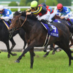 ［キタサンブラック伝説］キタサンブラックと同期の名馬＆名種牡馬、ドゥラメンテ。多くの「もしも」を感じさせたその生涯