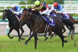 ［キタサンブラック伝説］キタサンブラックと同期の名馬＆名種牡馬、ドゥラメンテ。多くの「もしも」を感じさせたその生涯