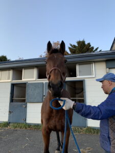 ［連載・馬主は語る］僕はそこにいる（シーズン1-30）