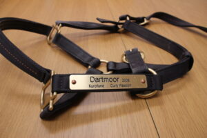 ［連載・馬主は語る］無口（シーズン1-31）