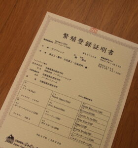 ［連載・馬主は語る］母の父クロフネ（シーズン1-32）