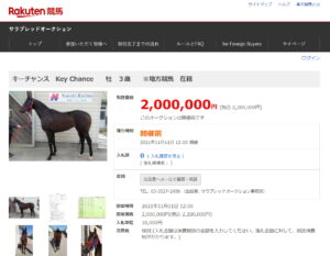 ［連載・馬主は語る］サラブレッドオークション事務局からの号外（シーズン1-33）