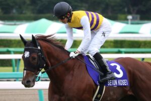 セイウンコウセイ - 輝き、走り続けたスプリント界の「恒星」