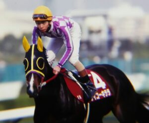 名馬 生写真 写真集 レース写真 種牡馬 競走馬 アルバム 競馬