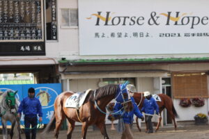 ［連載・馬主は語る］もし未来が分かっているとすれば（シーズン1-35）