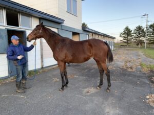 ［連載・馬主は語る］これから絶対に良いことありますから（シーズン1-36）