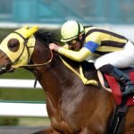 ［きさらぎ賞］ハクタイセイ、シンホリスキー、ネオユニヴァース。道悪をものともせずきさらぎ賞を制した馬たち