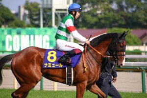 デアリングタクト　3冠馬　ジャケット 競馬】デアリングタクト ジャケット LL｜Yahoo!フリマ（旧PayPay