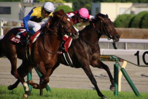 ［重賞回顧］兄の背中を追って。6歳春、ついに本格化の時～2022年・目黒記念～