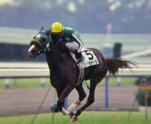 ［連載・クワイトファインプロジェクト］第46回　タイキポーラとニホンピロスワン、そして2013年4月へと続く因縁