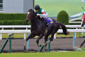 ［連載・クワイトファインプロジェクト］第11回　エピファニーとガレット・デ・ロワ