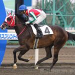 ［連載・クワイトファインプロジェクト］第12回　ロマンではなく必然か、フォルキャップの鮮烈デビュー。