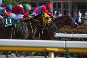 推し馬コレクション エスポワールシチー ビッグサイズぬいぐるみ