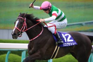 リスグラシュー - ハーツクライの完成形とも言える、時代を彩った歴史的名牝