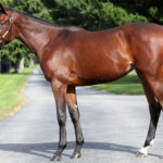 ［POG2022-2023］注目馬紹介～一口クラブ・広尾サラブレッド倶楽部編～