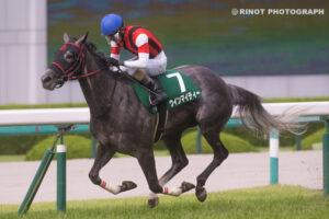 ［重賞回顧］女王反撃へ、唸る横綱相撲～2022年・マーメイドS～