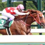 日本一の速さで世界を駆け抜けた、国際派ダート馬・マテラスカイ。