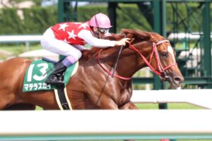 日本一の速さで世界を駆け抜けた、国際派ダート馬・マテラスカイ。