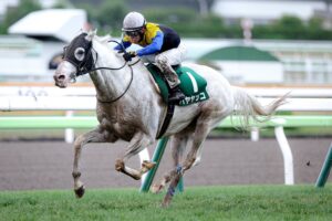 ［重賞回顧］1枠1番の白毛馬が、どろんこ馬場を味方に二刀流を証明～2022年・函館記念～