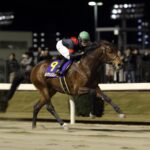 砂の怪物ルヴァンスレーヴ 全日本2歳優駿で見せた衝撃の快走劇