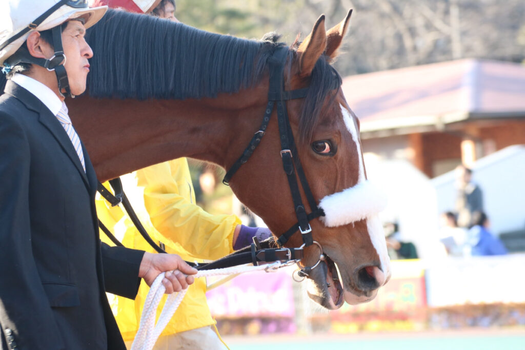 2022公式店舗 競馬 メジロラモーヌ トレーナー asakusa.sub.jp