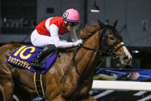 ［地方レース回顧］撫子対女傑の夏競馬～2022年・スパーキングレディーカップ～