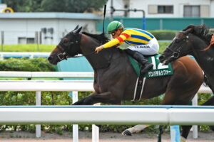 ［重賞回顧］タフネスを見せつけた6歳馬、本格化の夏～2022年・プロキオンS～