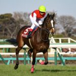 「世界の競馬」を教えてくれた馬、ディアドラ。