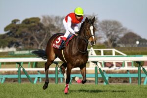 「世界の競馬」を教えてくれた馬、ディアドラ。