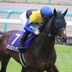 負けに価値あり。2019年クラシックを戦ったヴェロックスを振り返る。