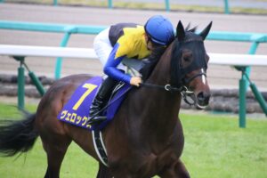 負けに価値あり。2019年クラシックを戦ったヴェロックスを振り返る。