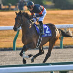ルヴァンスレーヴ - 日本のダート界を吹き抜けた熱き風