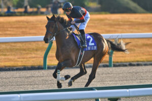 ルヴァンスレーヴ - 日本のダート界を吹き抜けた熱き風