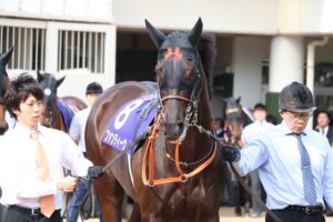 ［新馬ニュース］ファンディーナの初仔エルチェリーナがデビュー。