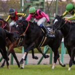 2017年春を彩ったファンディーナ。7戦3勝の現役時代を振り返る。