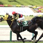 ［重賞回顧］変幻自在の良血馬が、秋に期待を持たせる重賞初制覇～2022年・ラジオNIKKEI賞～