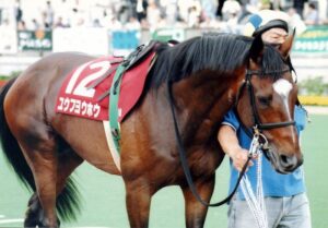 ［連載・クワイトファインプロジェクト］第14回　ユウフヨウホウと鞍上が見せた一世一代の輝き