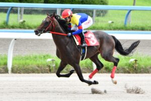 ［地方競馬ニュース］小柄な"彼"が夏を上がってくる - 2022年サラブレッド大賞典