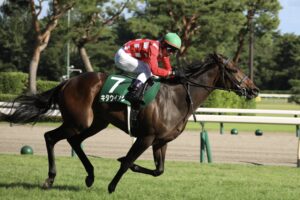 ［重賞回顧］逆襲の逆輸入種牡馬ダノンバラード産駒が、JRAの重賞初制覇～2022年・新潟2歳S～
