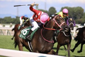 ［重賞回顧］初物づくしの、千直夏祭り～2022年・アイビスサマーダッシュ～