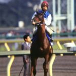 我こそは“ふるつわもの”。関屋記念3戦2勝のタフガイ、ダイワテキサス。