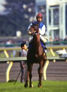 我こそは“ふるつわもの”。関屋記念3戦2勝のタフガイ、ダイワテキサス。