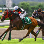 ［重賞回顧］南の大地からいざ出港！"夢想家"から受け継いだ、夢の舞台へ～2022年・北九州記念～