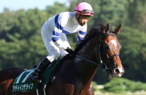 悲願の重賞制覇、その光と影。2016年新潟記念を振り返る。