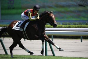 ［阪神JF］G1レース直前プレビュー