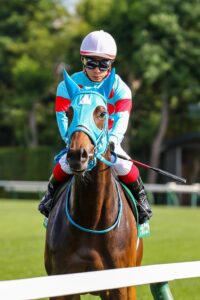 ［重賞回顧］北の大地を完全制覇！奏でる三重奏は飛躍の予兆～2022年・クイーンS～