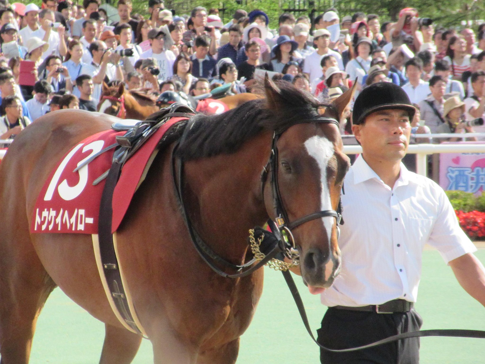 天才による"先手必勝"の神技が光った、2013年札幌記念を振り返る。