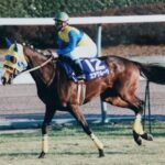 故・伊藤雄二調教師に導かれ…。史上初、札幌記念の連覇を成し遂げた名牝エアグルーヴの歩みを振り返る。