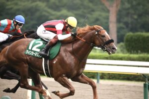 ［重賞回顧］難病を克服した逸材が、夏のマイル王へ価値ある重賞初制覇～2022年・関屋記念～