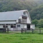 ［インタビュー］関東オークス2着馬ラブパイローなどを生産。トラストスリーファームの代表が語る、生産牧場としての想い。